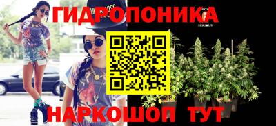 мдпв Рузаевка