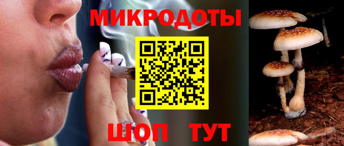 Галлюциногенные грибы Cubensis Семилуки