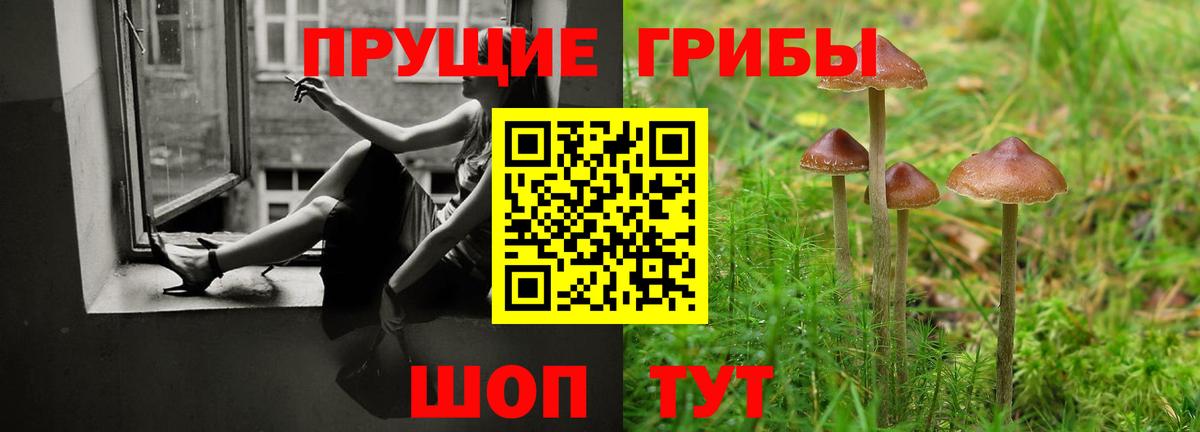 Галлюциногенные грибы MAGIC MUSHROOMS  Вход с VPN  Семилуки 